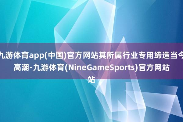 九游体育app(中国)官方网站其所属行业专用缔造当今高潮-九游体育(NineGameSports)官方网站