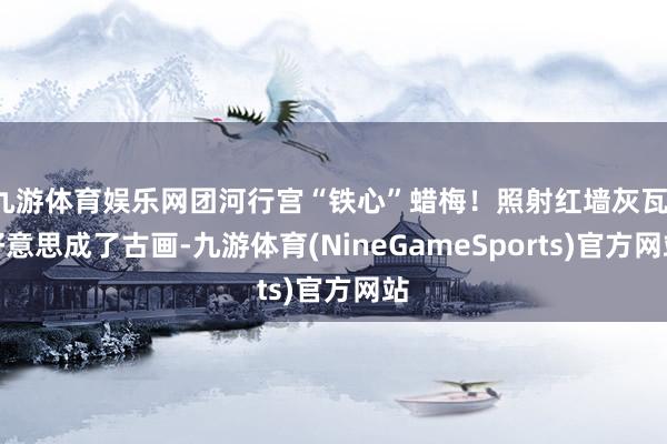 九游体育娱乐网团河行宫“铁心”蜡梅！照射红墙灰瓦，好意思成了古画-九游体育(NineGameSports)官方网站